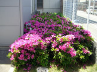 社名看板とJIS認証プレート